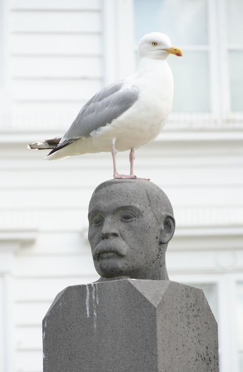 Free A seagull rests elegantly on a stone sculpture in Hamburg, combining nature and art. Stock Photo