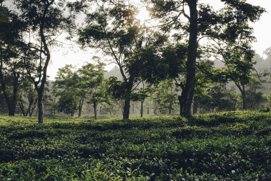 Assam Government Allots 70 Acres of Land to ISRO for Radar Facility