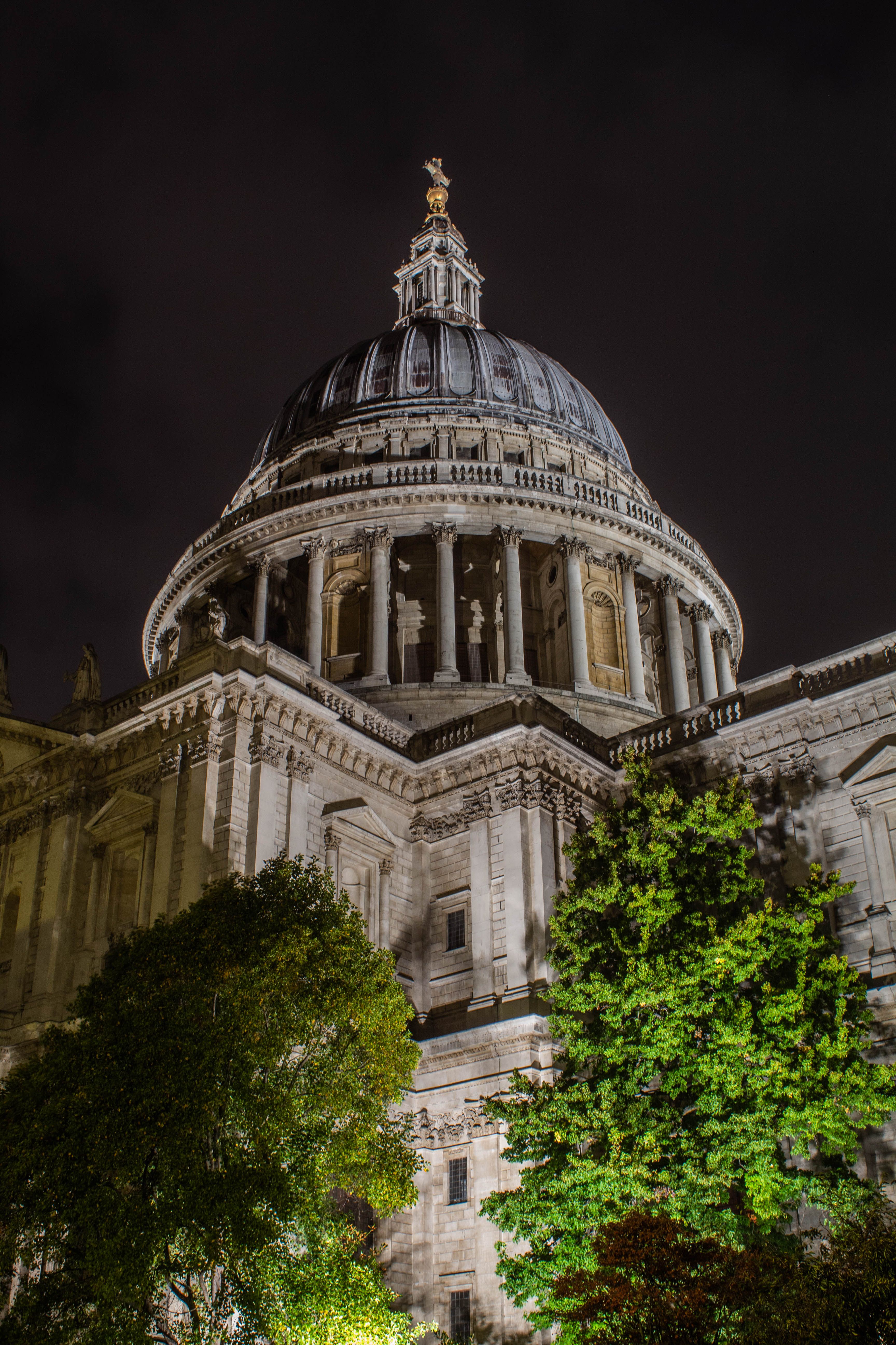 Illuminated dome of St. Paul's Cathedral surrounded by trees at night in London.