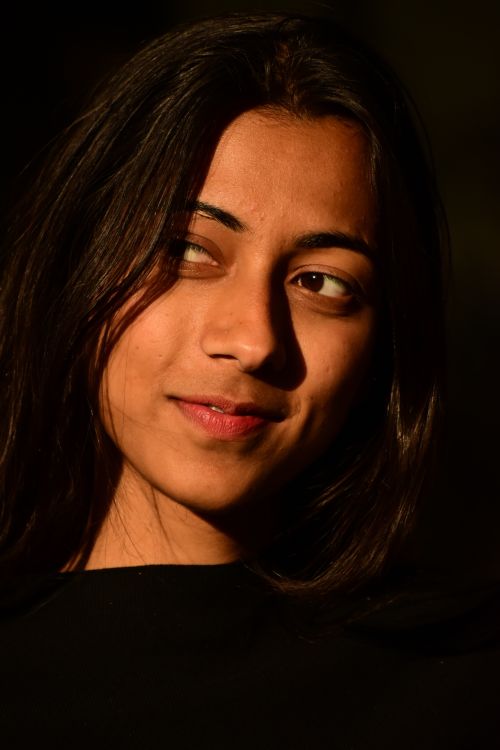 Free Elegant portrait of a woman captured in warm natural light outdoors in India. Stock Photo