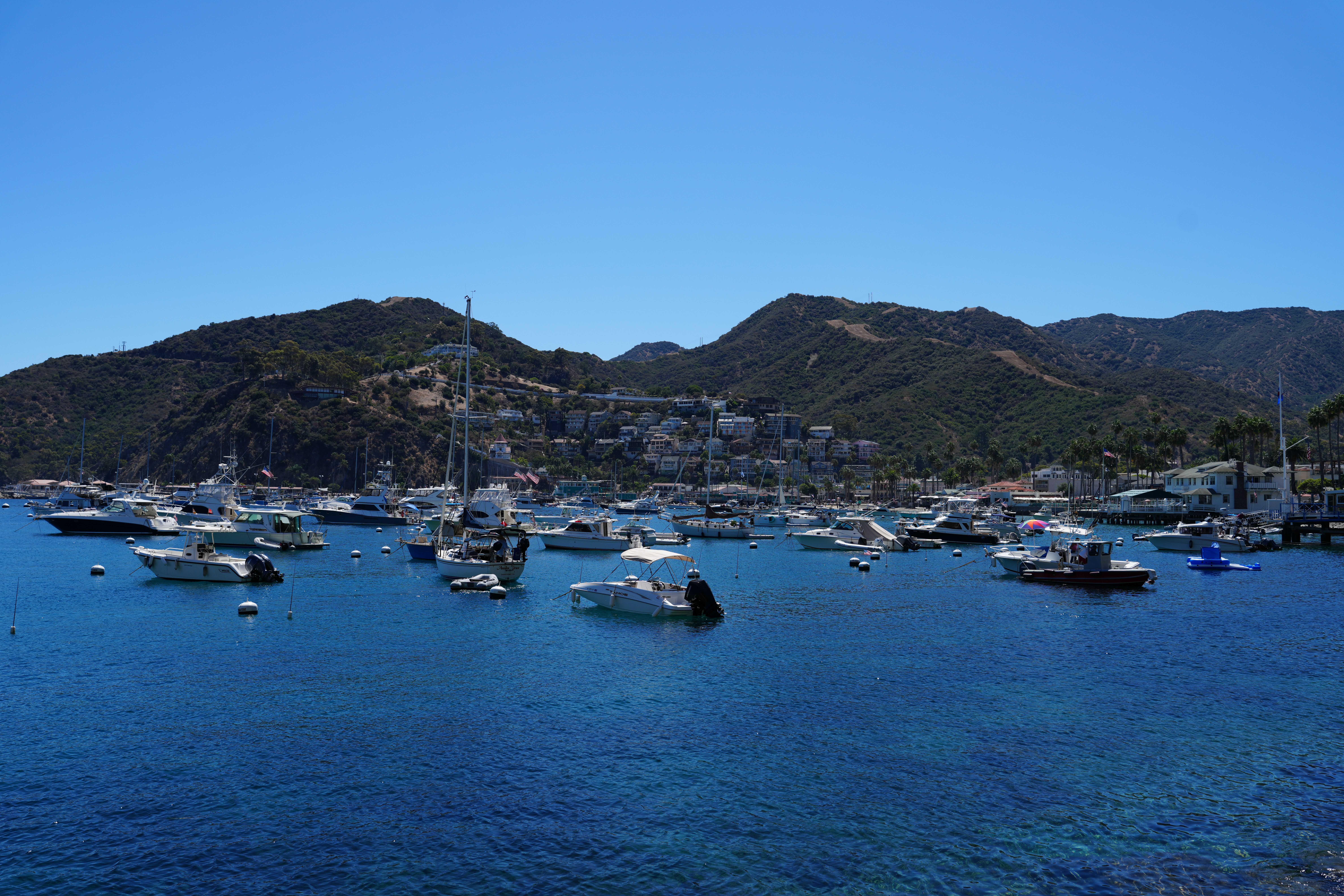 Avalon Catalina Island harbor bathroom remodeling service area