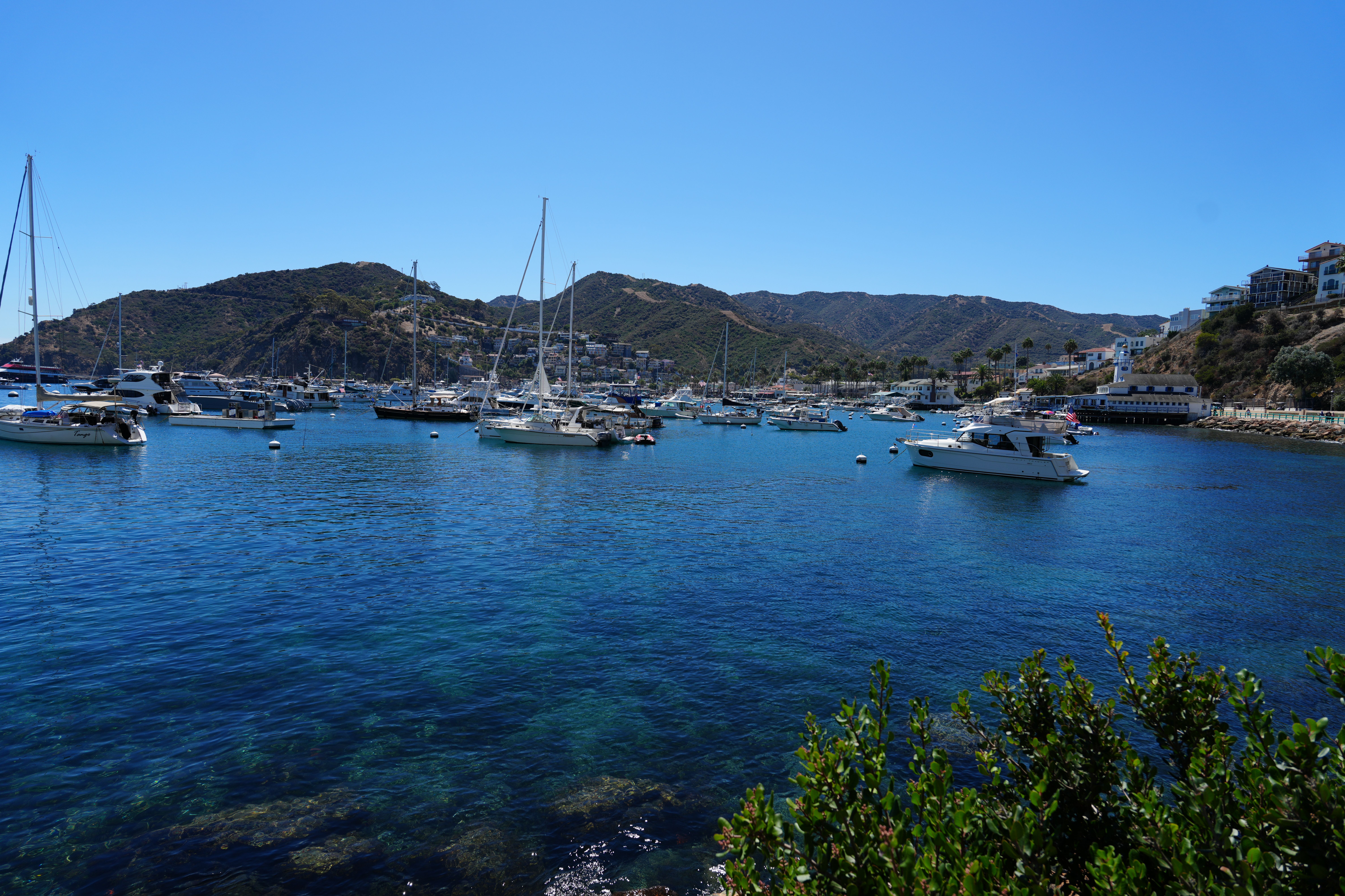 Catalina