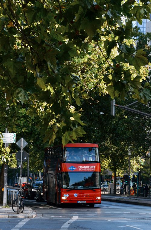 Free A vibrant red tour bus in Frankfurt, Germany, under lush green trees on a sunny day. Stock Photo