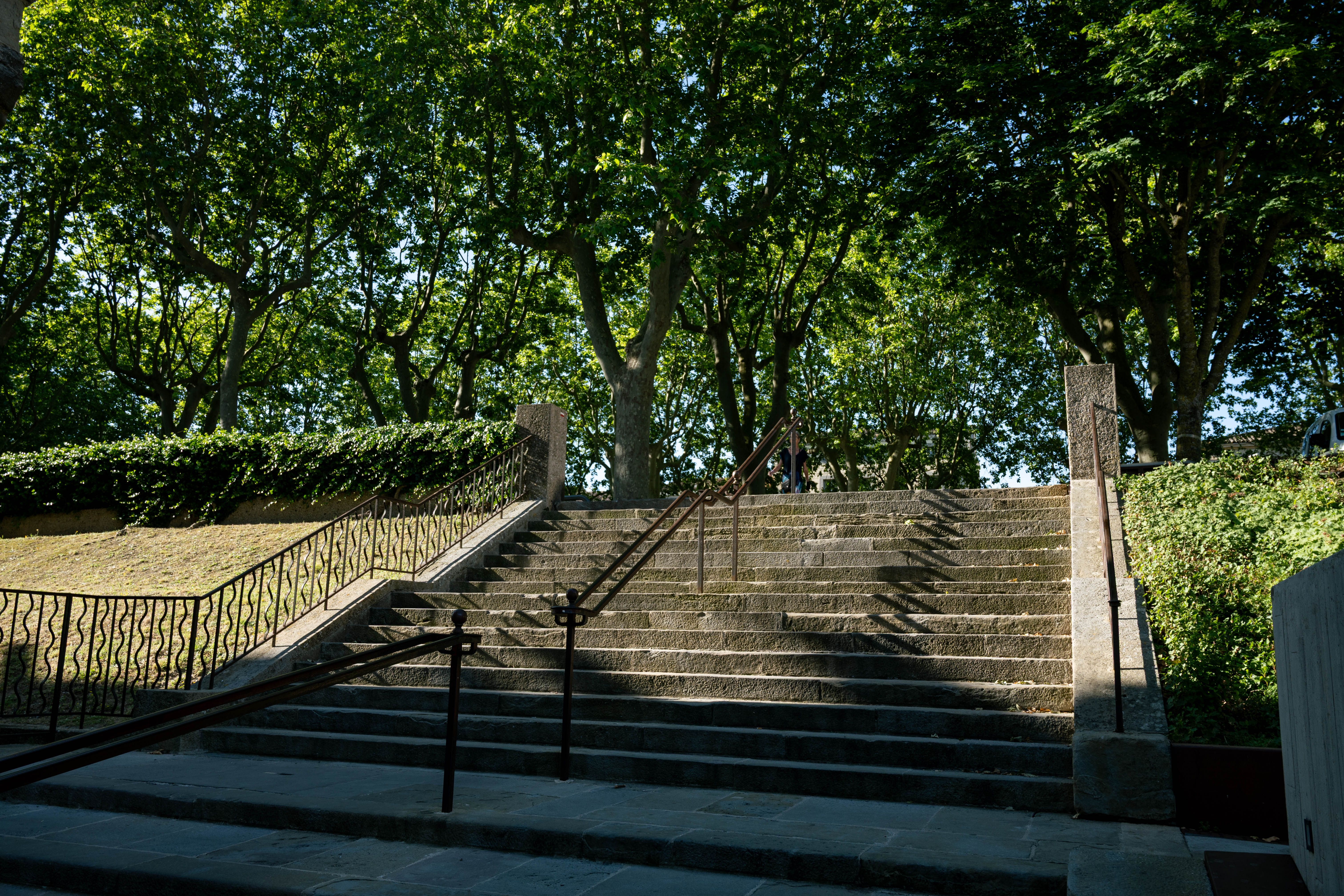 French Steam : Guide gaming France 2026