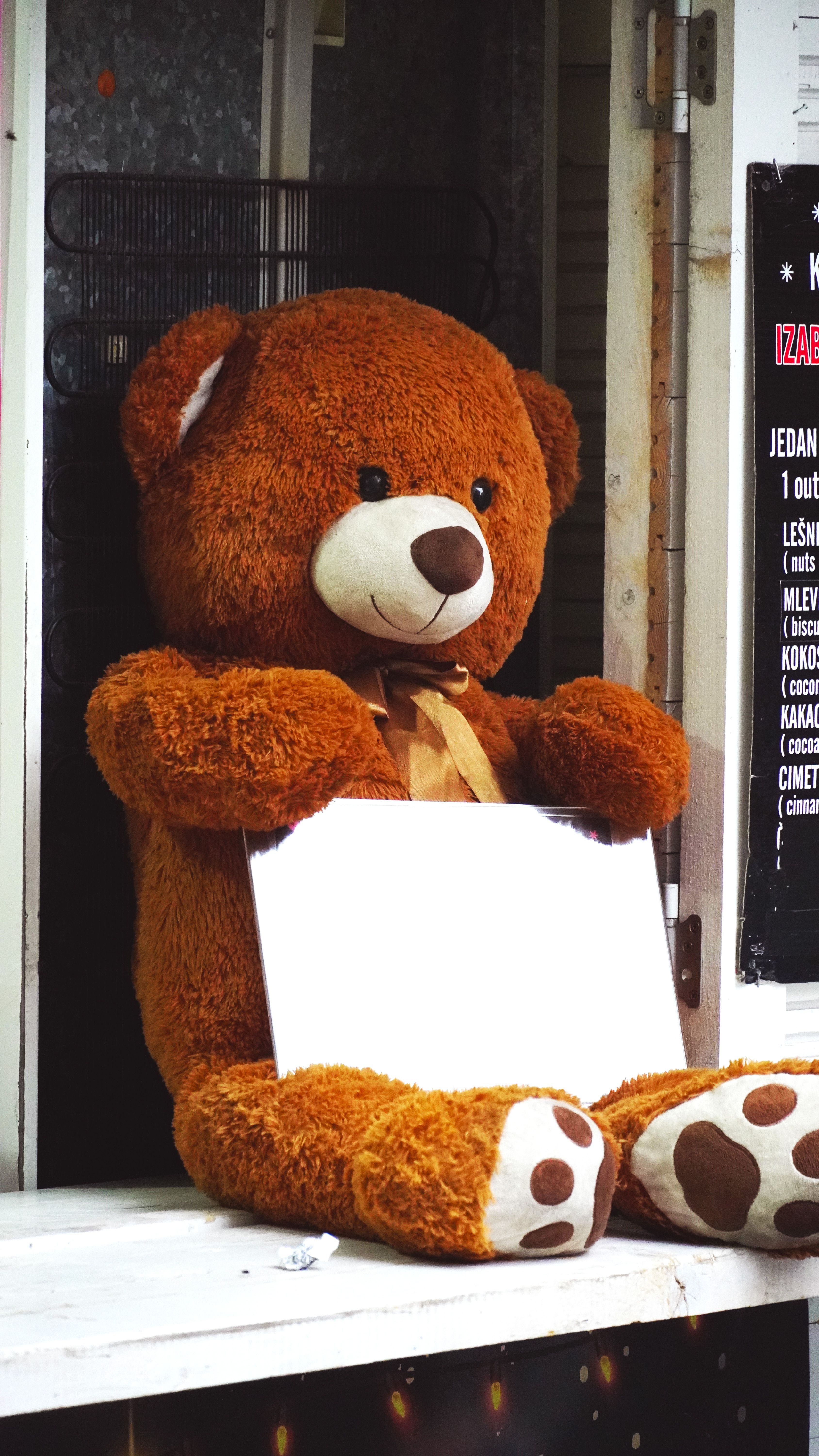 Teddy Bear