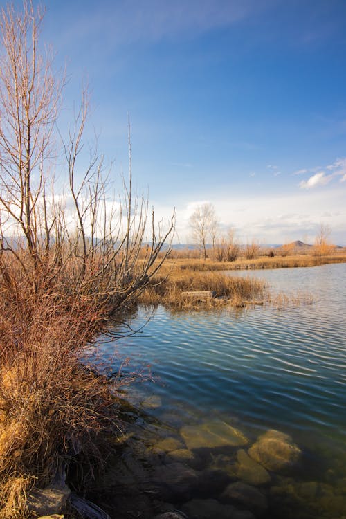 Free stock photo of bare, blue skies, boulder