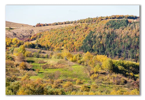 Fotos de stock gratuitas de imagen de otoño