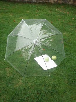 Clear umbrella on grass with green apples and paper, offering fresh and simple composition.