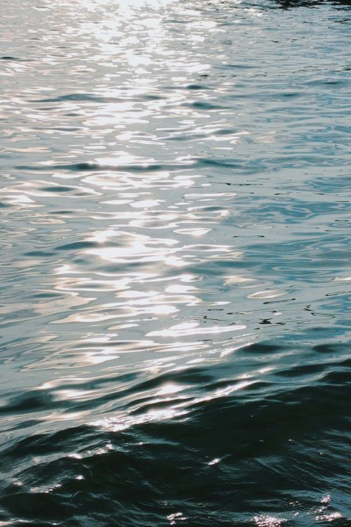 Free Peaceful scene of sunlight reflecting on calm water with gentle ripples. Stock Photo