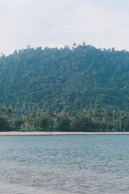 Free Idyllic beach scene with forested mountain backdrop. Stock Photo