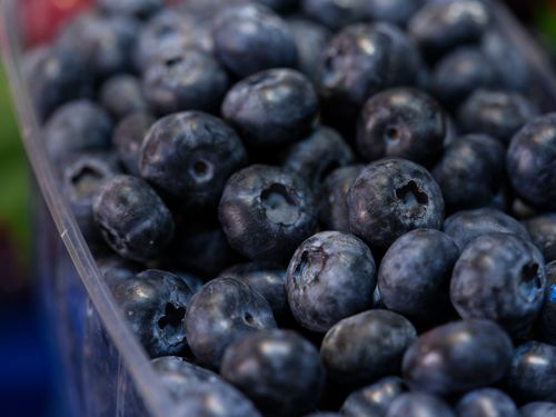 Free Close-up of fresh blueberries in a container, showcasing their juiciness and natural appeal. Stock Photo