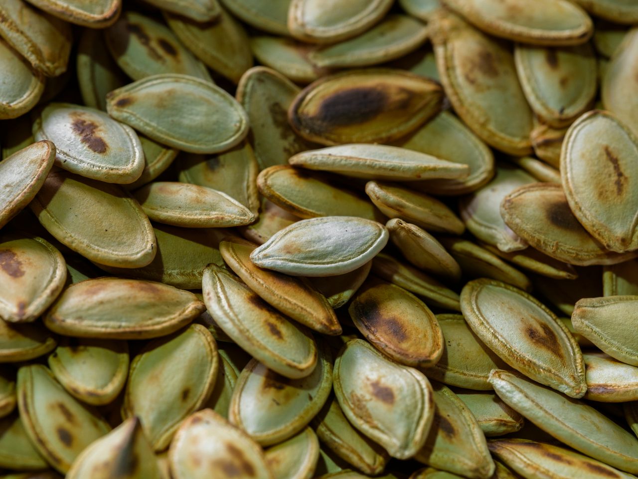 A close-up of golden roasted pumpkin seeds with light seasoning