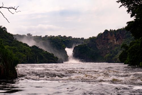 10 Days Murchison, Kibale, Queen Elizabeth, Bwindi, Lake Mburo Safari