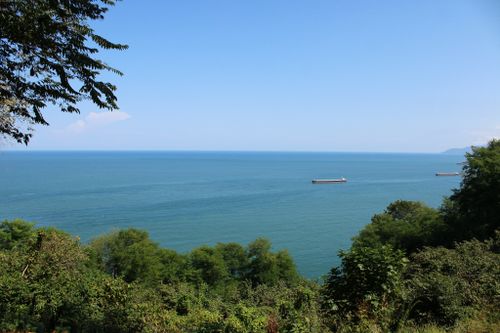 Free Breathtaking view of a serene sea with ships, framed by lush greenery. Stock Photo