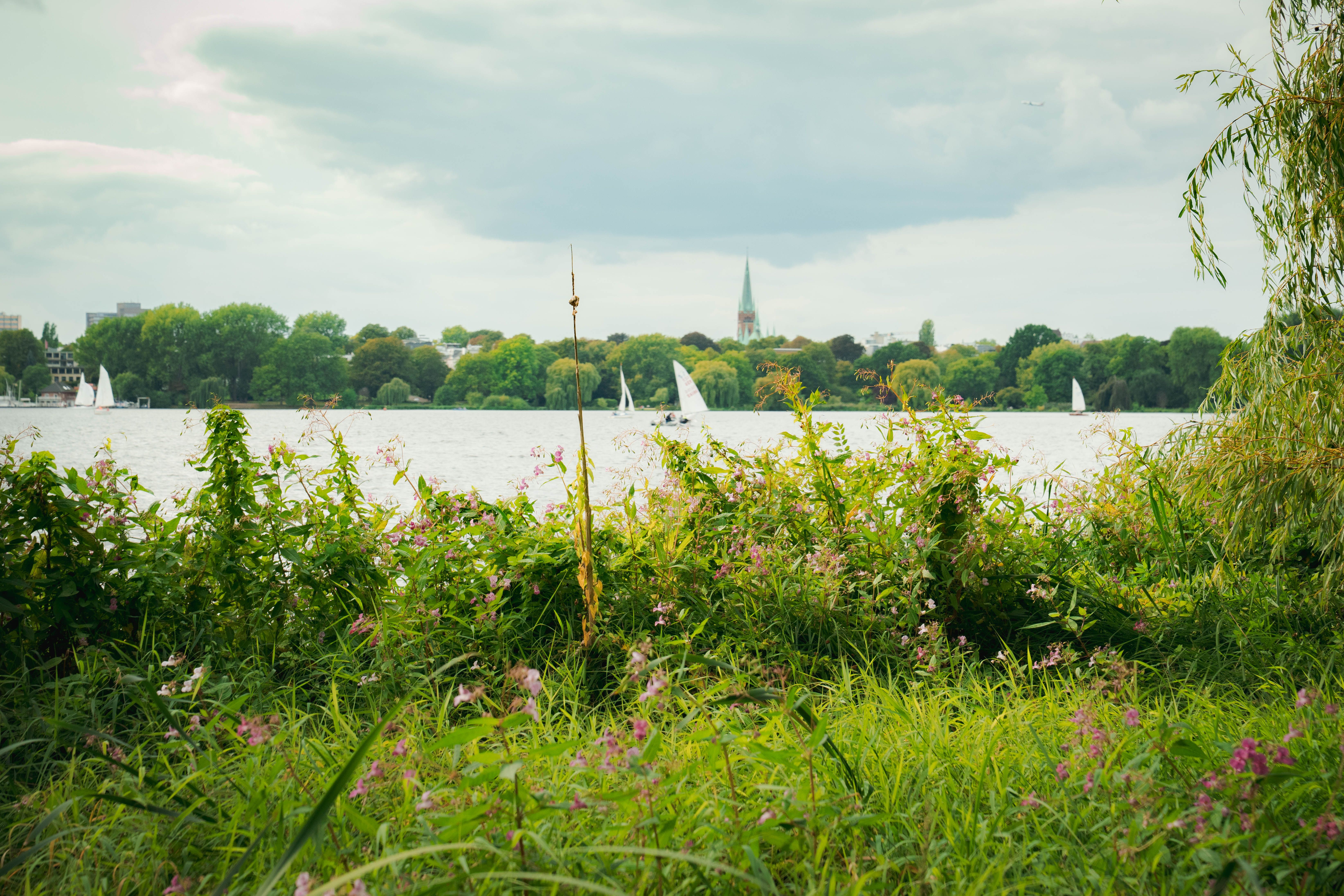 A picturesque view of Alster Lake in Hamburg with sailboats and lush greenery.