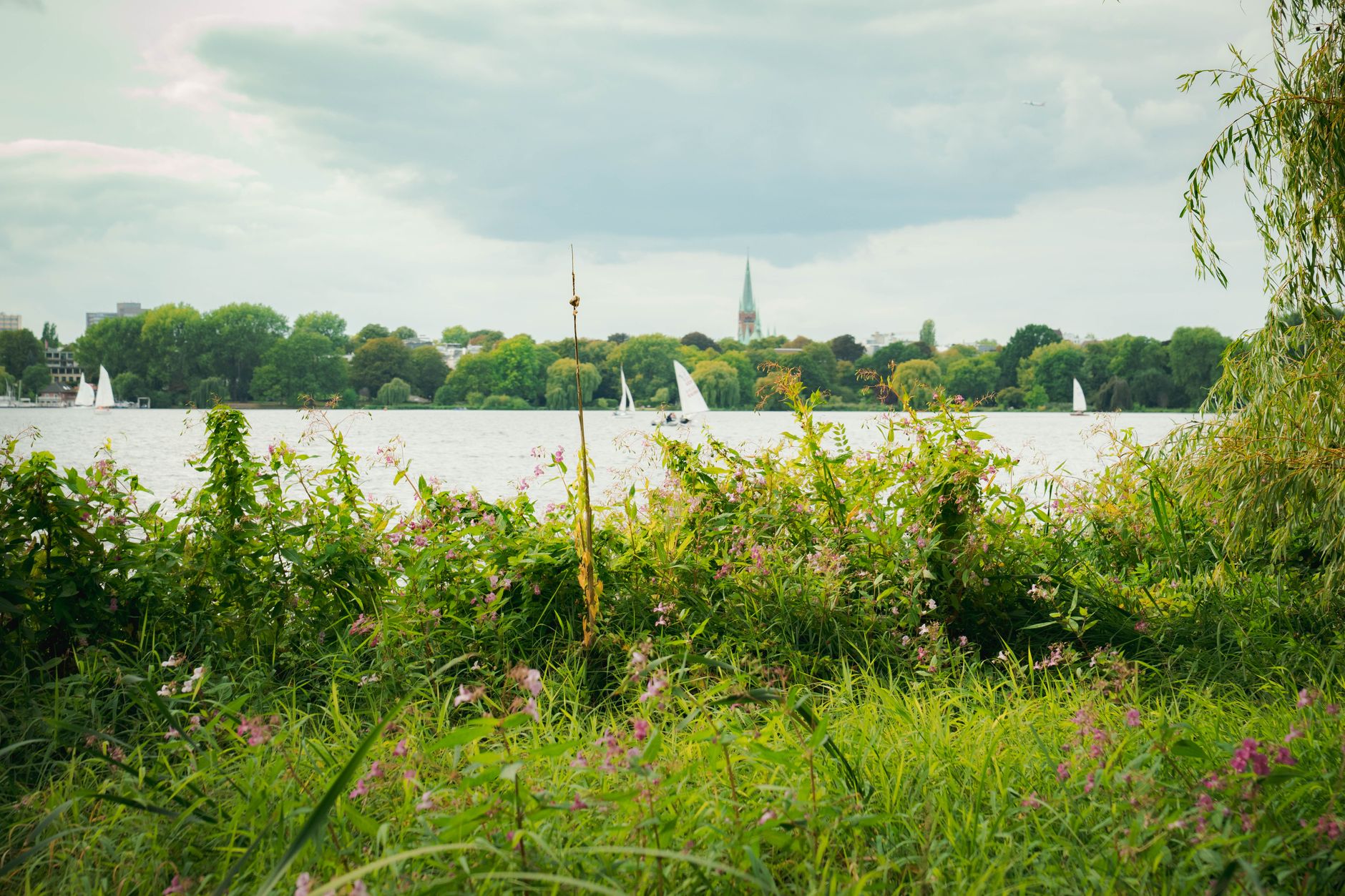 A picturesque view of Alster Lake in Hamburg with sailboats and lush greenery.