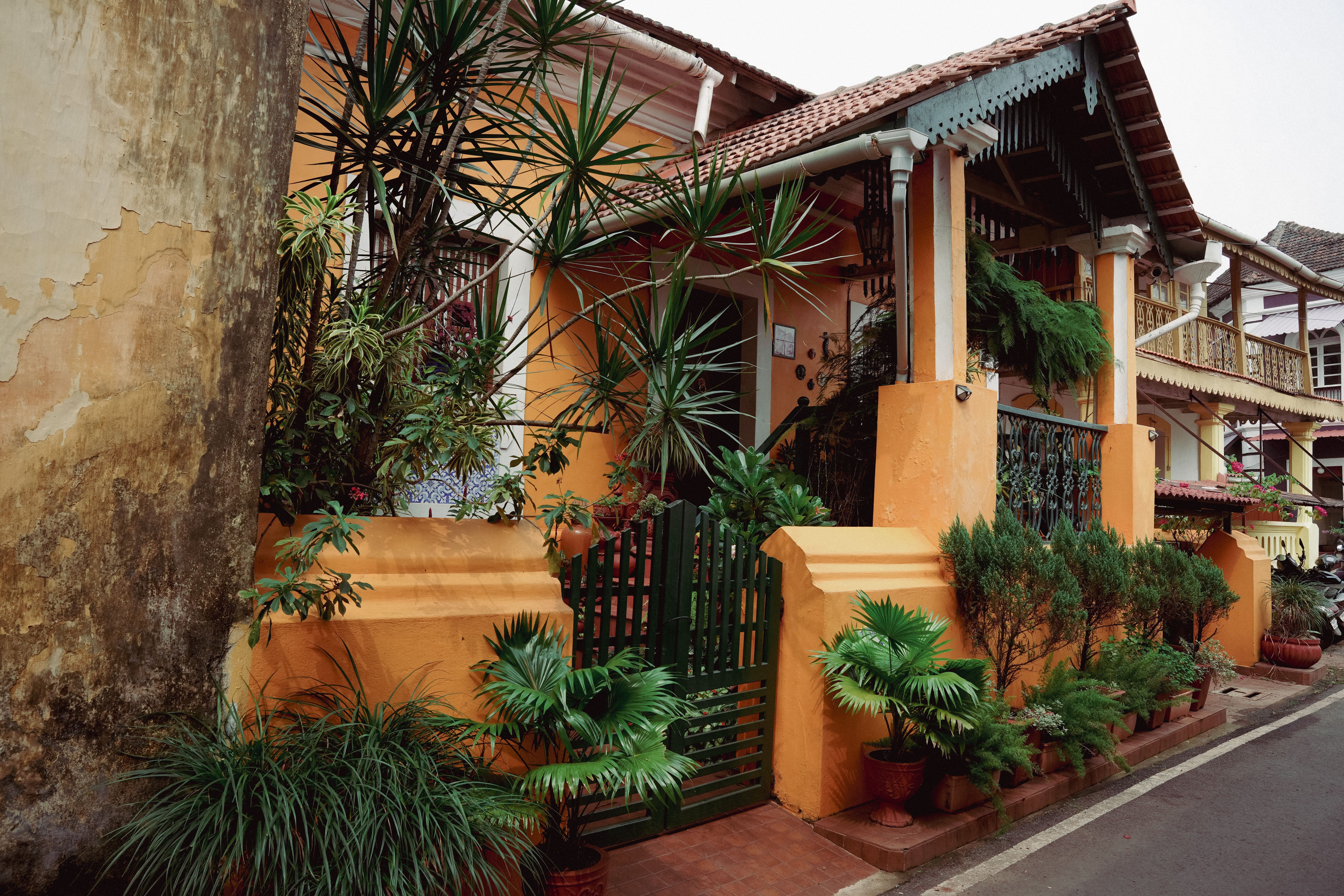 Goan Bebinca
