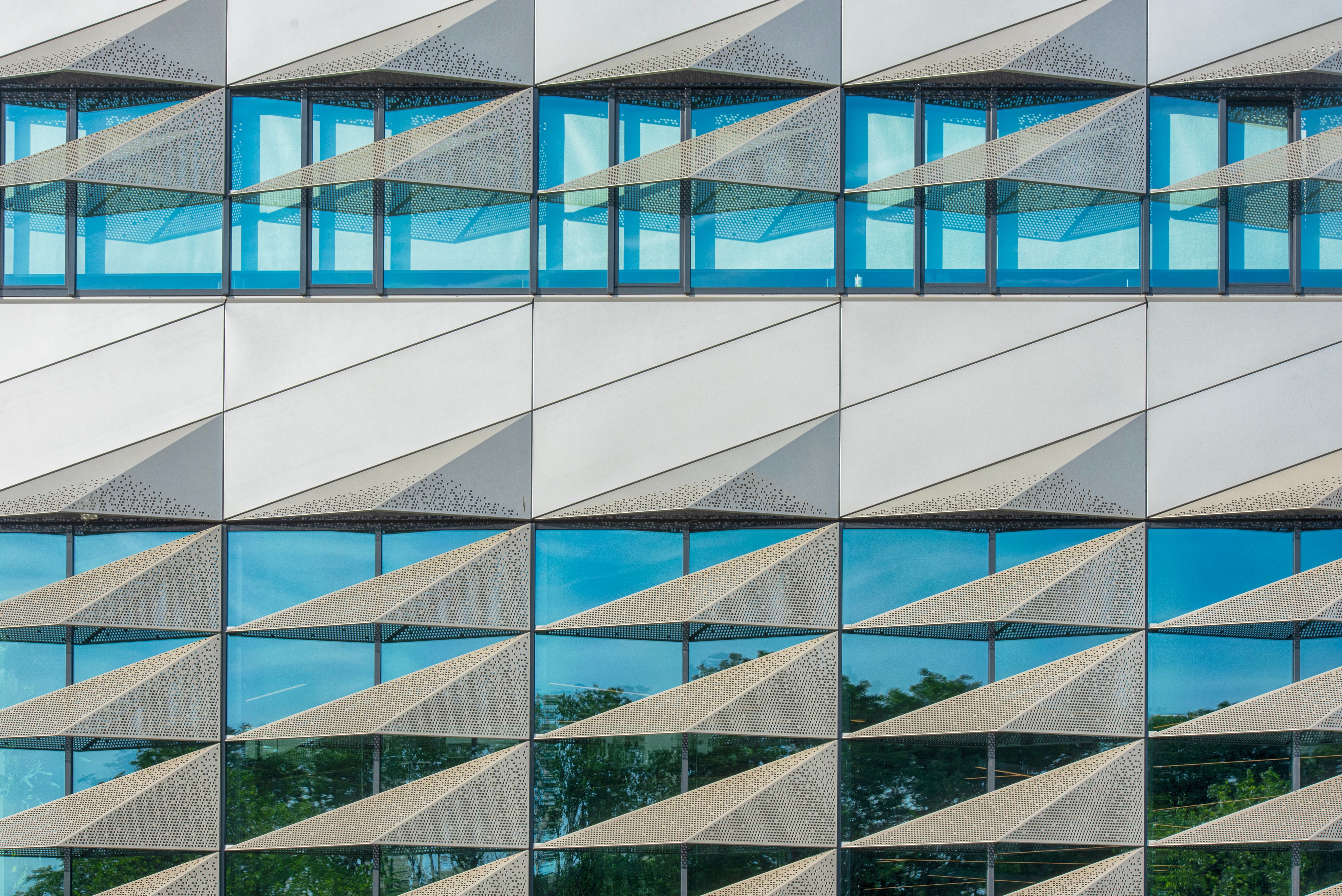 These new MIT Sloan courses track emerging technologies and business trends — Photo by Jan van der Wolf on Pexels