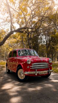 Beautiful vintage red car parked on a tree-lined path during autumn, capturing nostalgia.
