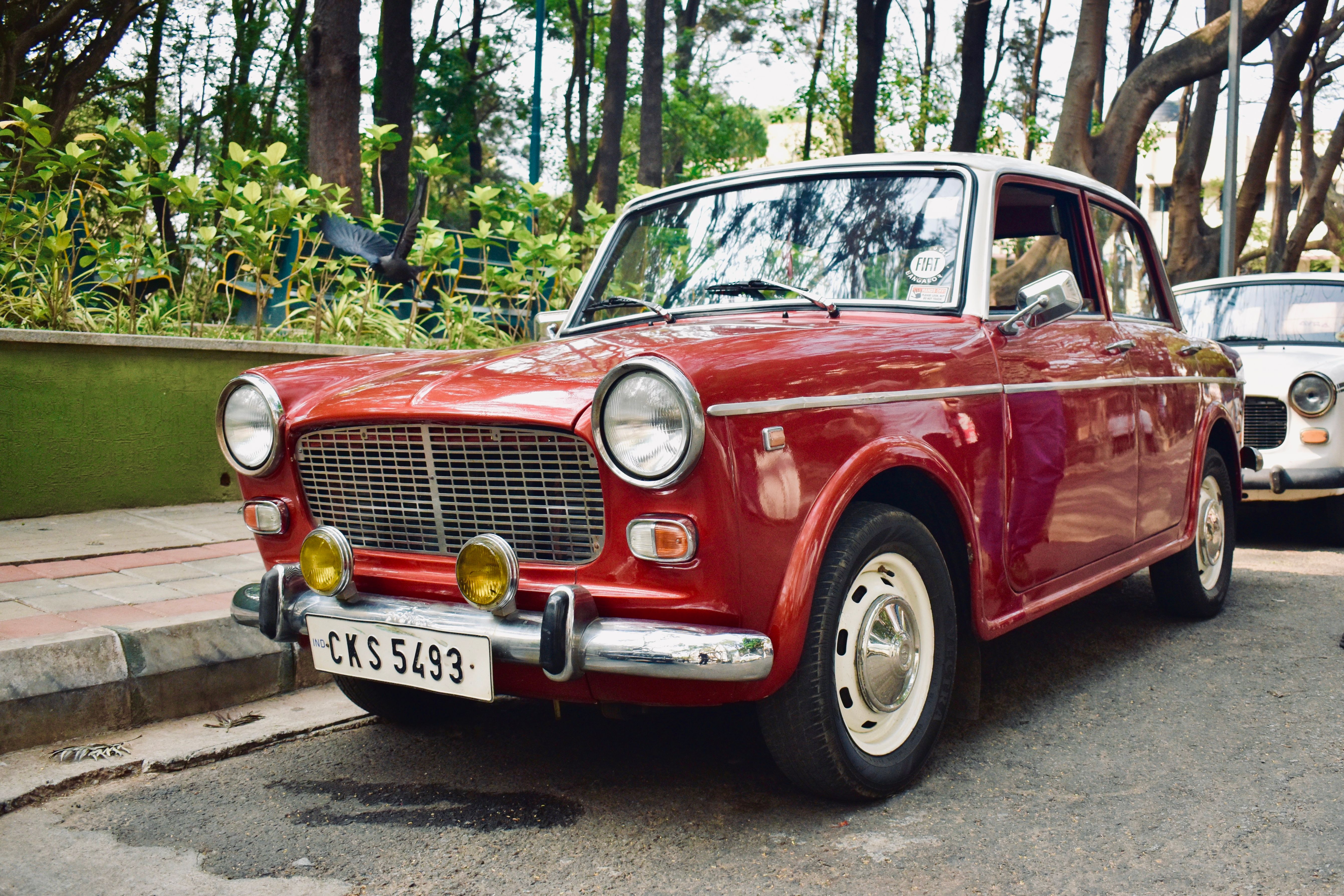 A classic red Fiat car parked on a tree-lined city street, exuding nostalgic charm.