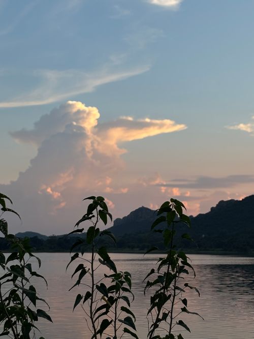 Free Peaceful lake view with silhouetted plants and dramatic sunset clouds over mountains. Stock Photo
