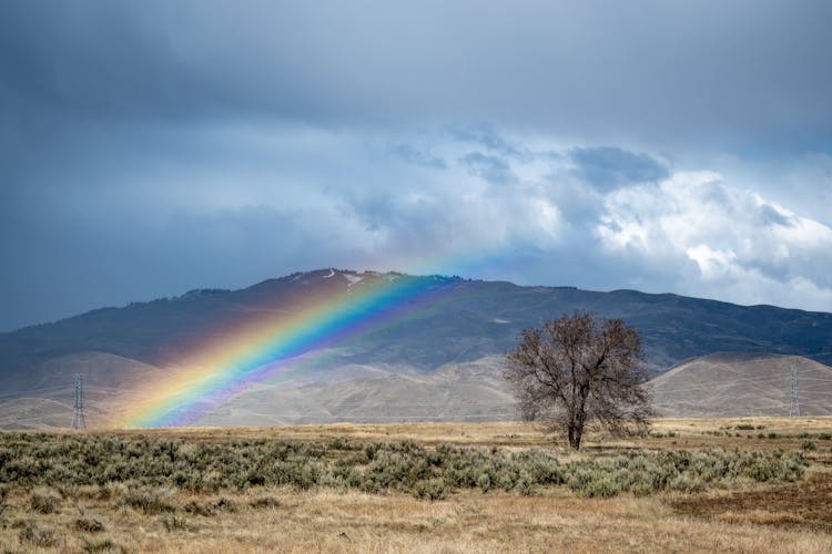 Rainbow Over Grass Field