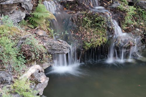 Free A serene waterfall flowing over moss-covered rocks, surrounded by lush greenery. Stock Photo