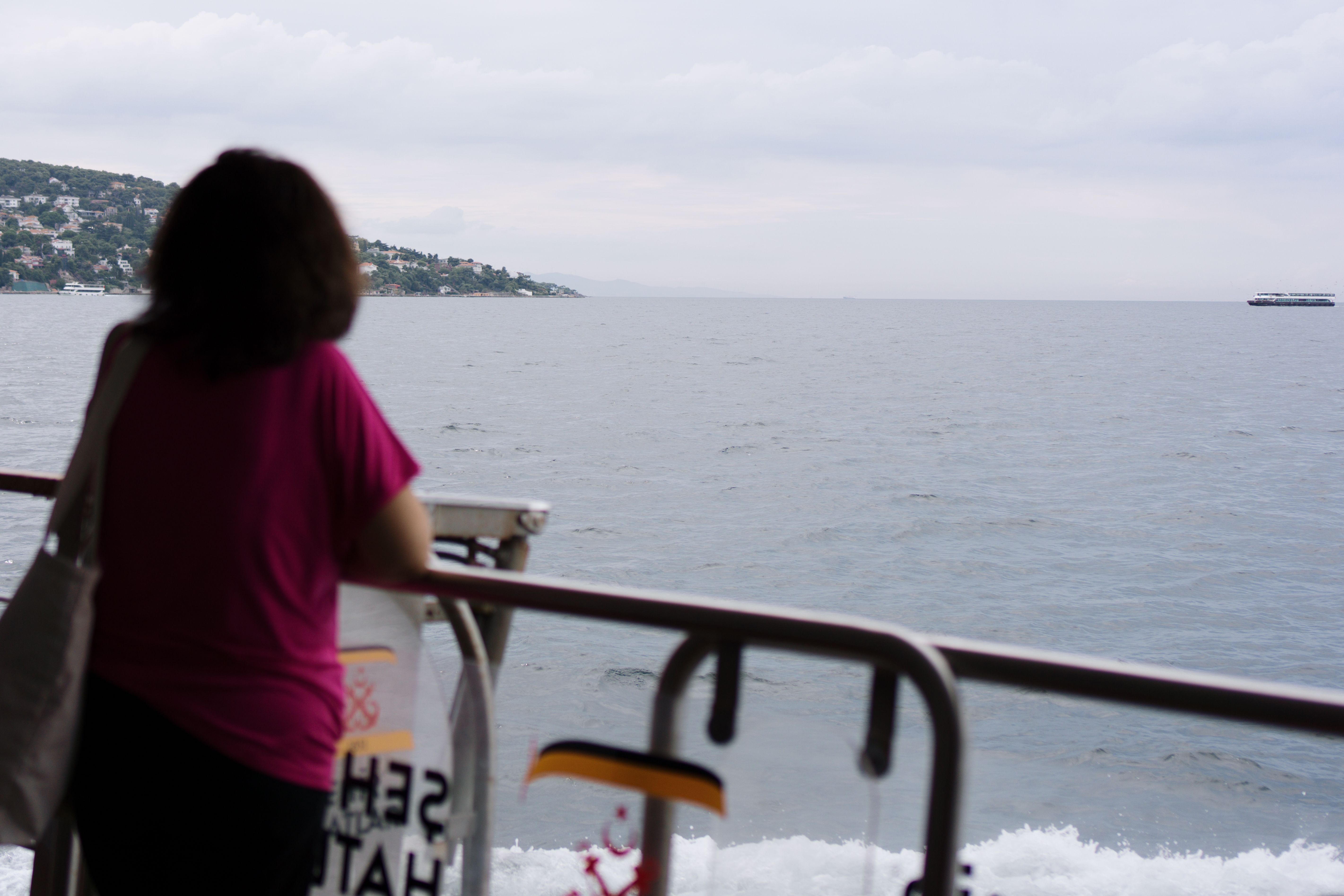 A woman in pink leans on a ferry railing, looking at a scenic ocean view under cloudy skies.