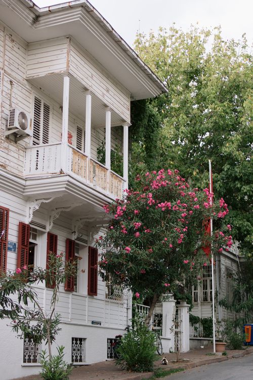 Free A picturesque historic house in İstanbul adorned with vibrant pink oleander flowers, capturing the essence of summer. Stock Photo
