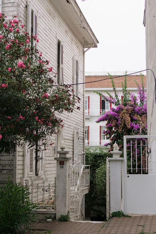 Free A quaint alley in İstanbul showcasing historic architecture and vibrant bougainvillea. Stock Photo