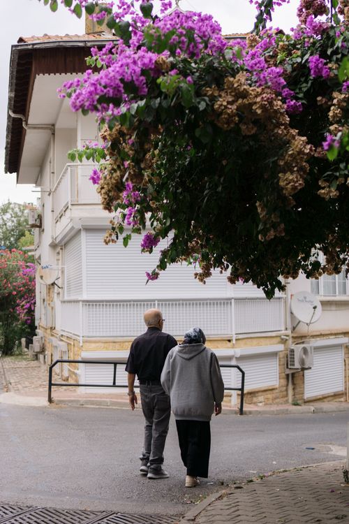 Free An elderly couple walking under vibrant bougainvillea in İstanbul, Türkiye. Stock Photo