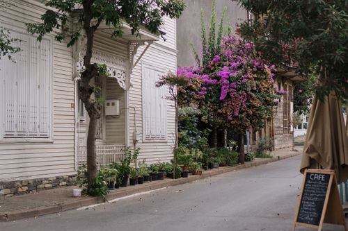 Free A picturesque Istanbul street scene featuring vibrant bougainvillea and a charming white house. Stock Photo