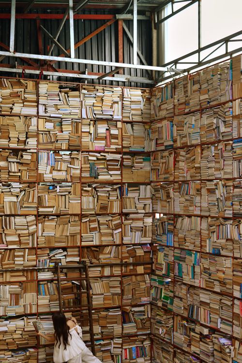 Free A vast indoor library wall stacked with books, observed by a curious woman, symbolizes knowledge and exploration. Stock Photo