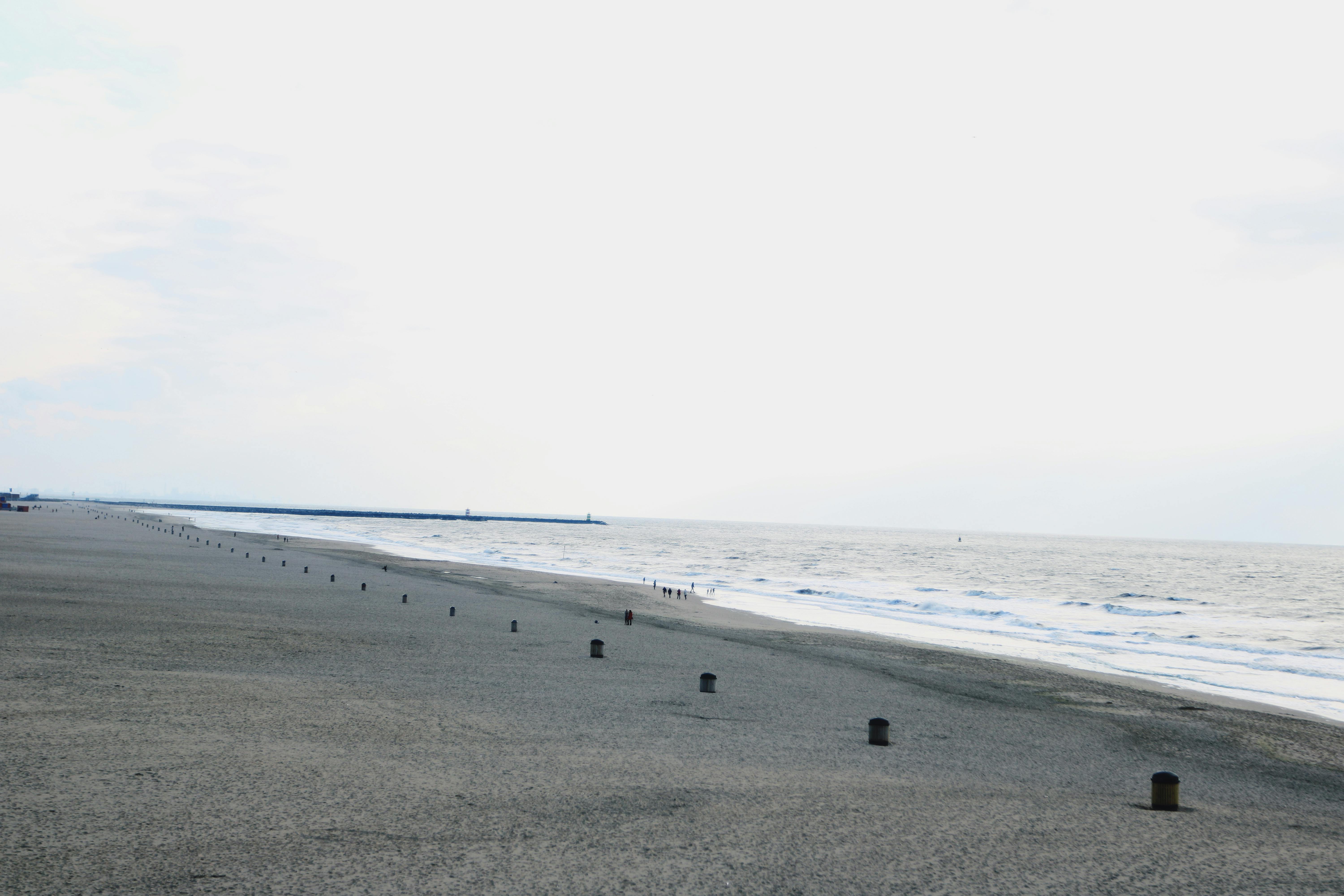 Free stock photo of beach, holland, netherlands