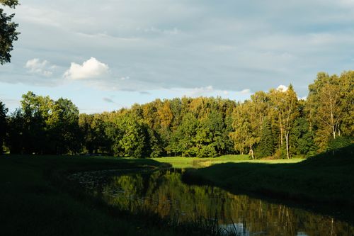 Free A peaceful forest scene with trees reflecting in a calm stream under a cloudy sky. Stock Photo