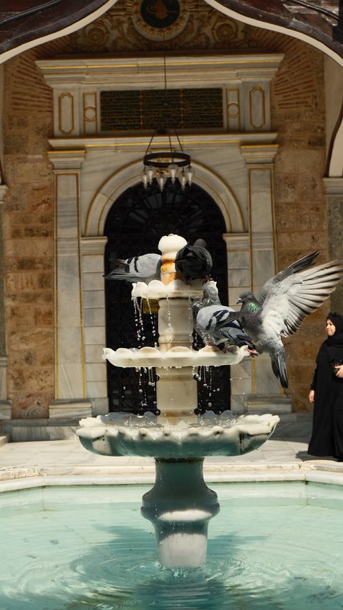 Free Pigeons gather at a historical fountain in Bursa, Türkiye, under sunlight. Stock Photo