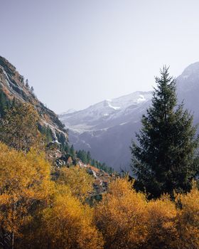Serene view of snow-capped peaks and autumn foliage in Zemmgrund, Tirol, Austria.