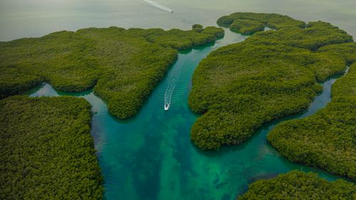 Free Aerial shot of a boat navigating through a scenic mangrove forest with turquoise waters, showcasing Caribbean beauty. Stock Photo
