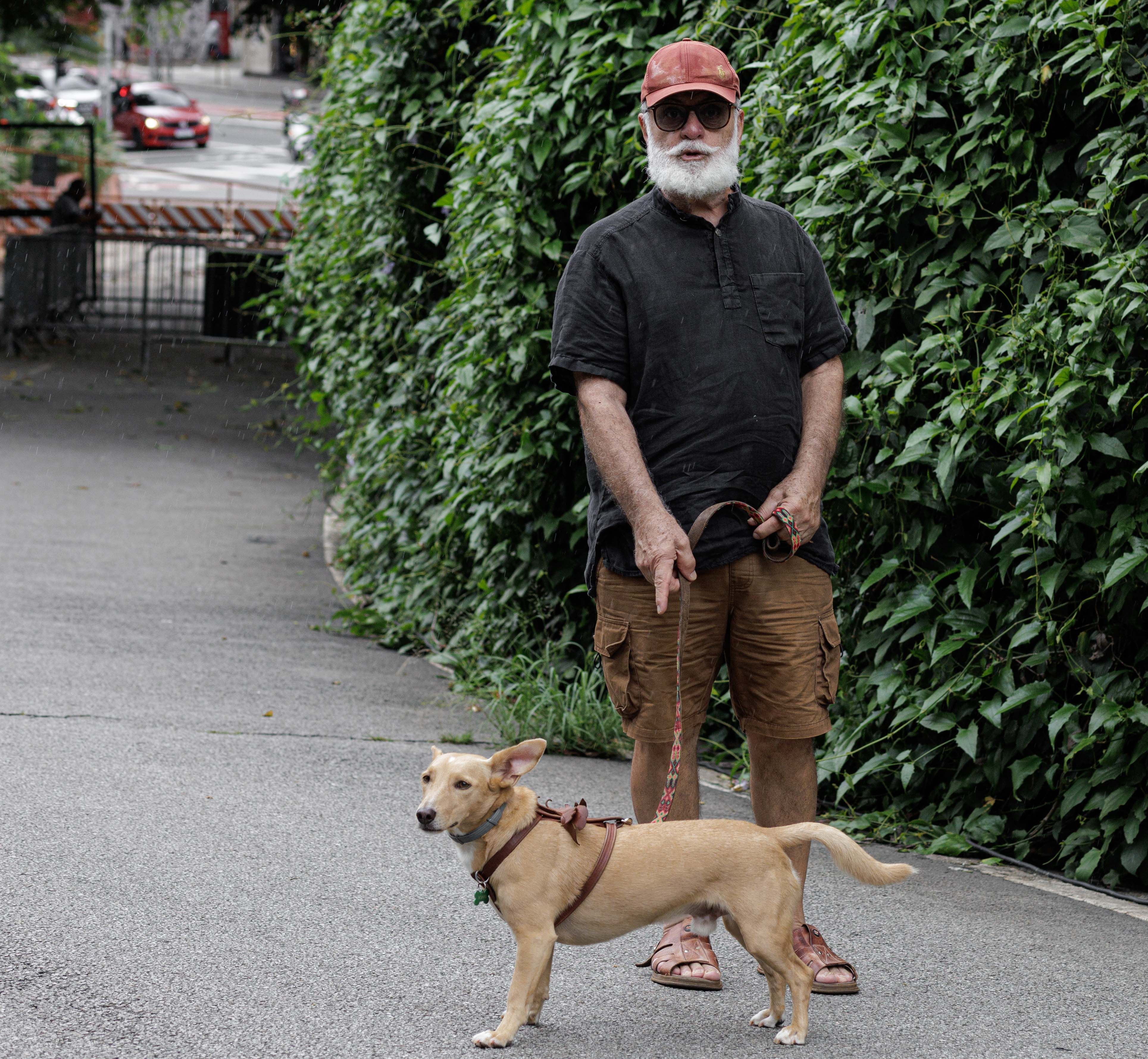 senior dog harness