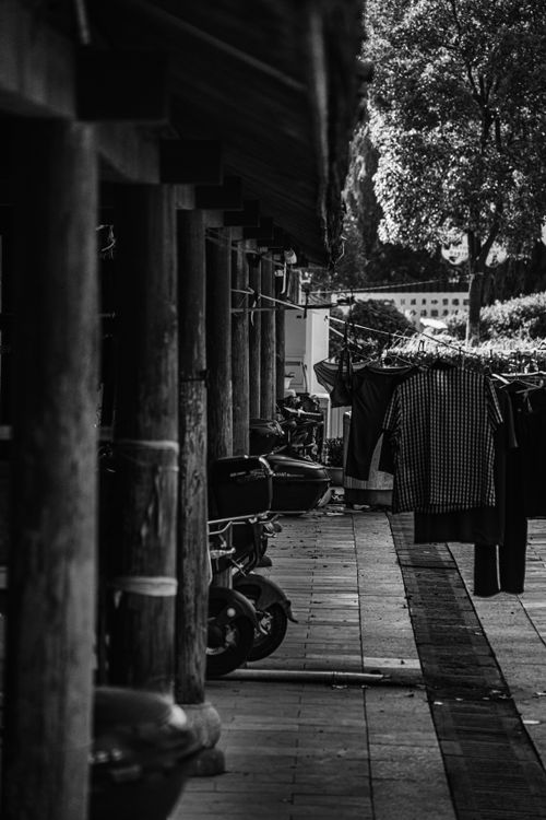 Free Monochrome image depicting clothes drying in an alley with trees and scooter. Stock Photo