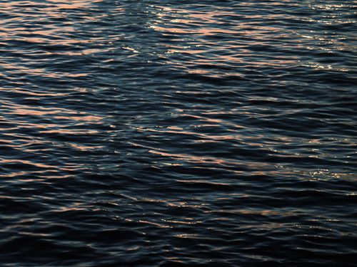 Free Calm ocean waves reflecting the sunset light in Montreal, creating a cinematic and tranquil scene. Stock Photo