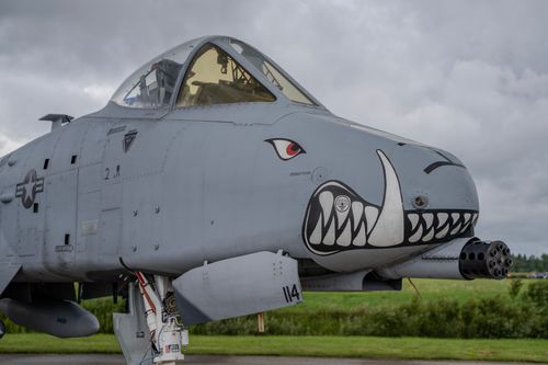 Free Detailed view of an A-10 Thunderbolt II showcasing its iconic shark mouth nose art at an airshow. Stock Photo