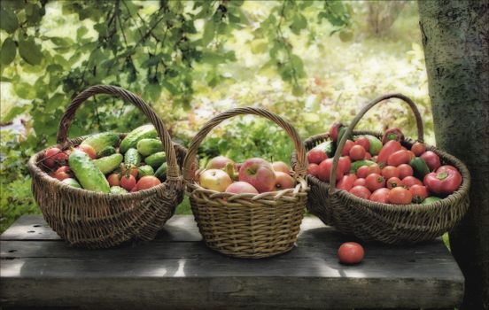Wicker baskets filled with fresh produce outdoors, showcasing cucumbers, apples, and tomatoes.