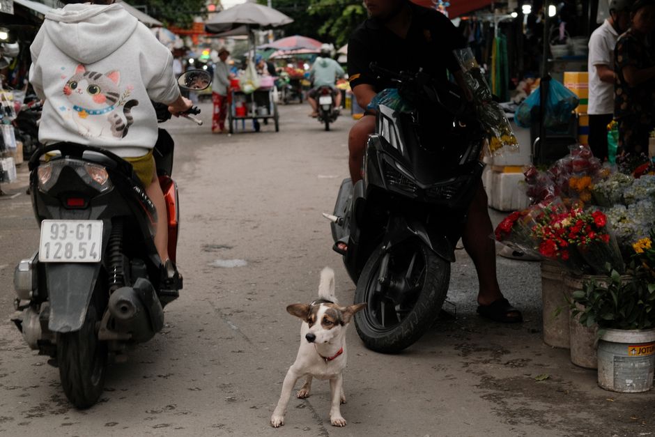 pexels-photo-39566983.jpeg?auto=compress&cs=tinysrgb&h=650&w=940