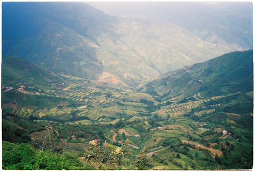 Free Aerial view of lush green terraced fields in mountainous terrain. Stock Photo
