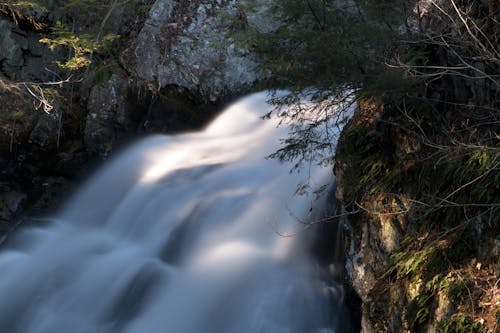 Kostenloses Stock Foto zu bach, bäume, berg