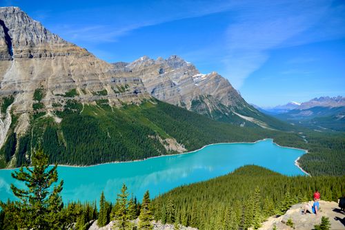 Free Vibrant turquoise Peyto Lake nestled in the Canadian Rockies, Jasper National Park. Stock Photo