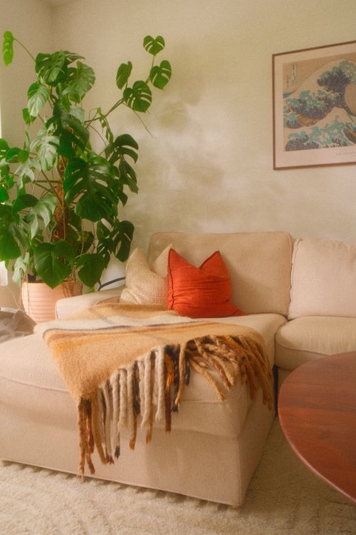 Free A cozy and stylish living room with a monstera plant, beige couch, and decorative throw. Stock Photo