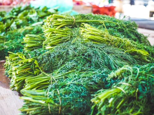 Free Pile of Dill for Sale Stock Photo