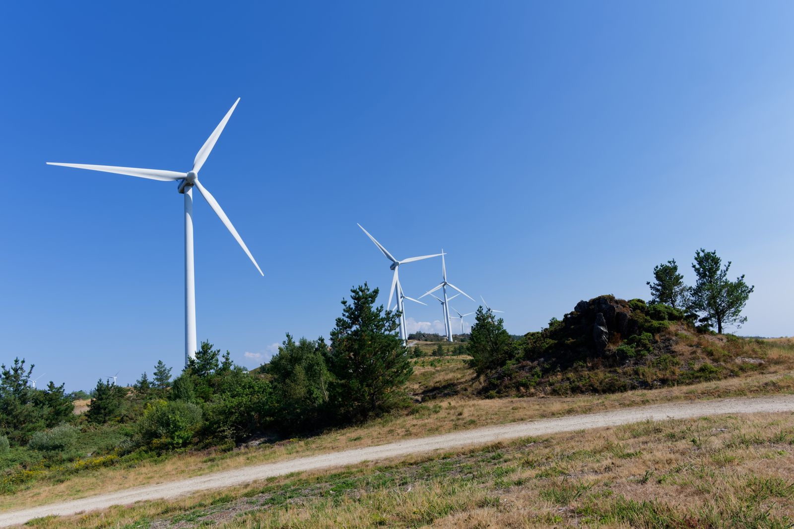 Éoliennes dominant un sentier de colline sous un ciel bleu dégagé